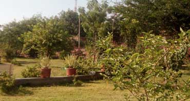 Masuria Hills Garden Jodhpur Rajasthan Tour