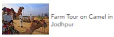 form tour on camel in jodhpur